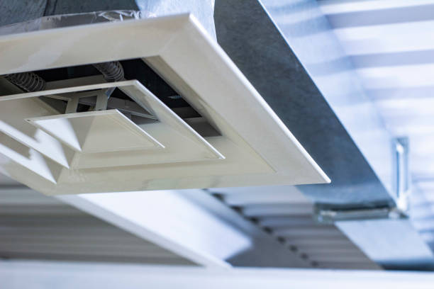 Best Air Duct Sanitizing Services  in Eloy, AZ