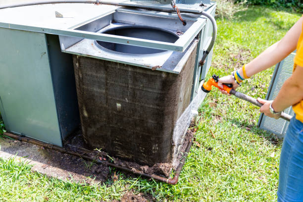 Best Home Air Vent Cleaning  in Eloy, AZ