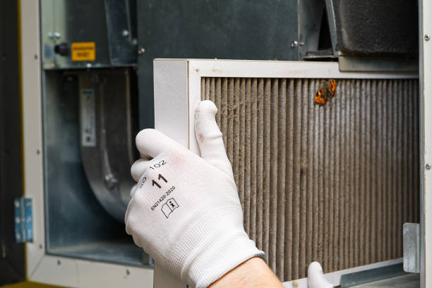 Best Air Duct Cleaning Near Me  in Eloy, AZ