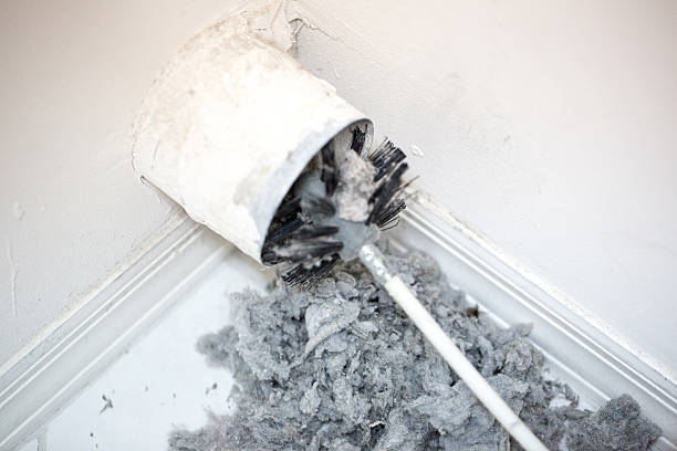 Best Air Duct Cleaning Company Near Me  in Eloy, AZ